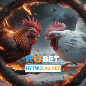HYTW3596 - Đá gà Kubet 2025 - Đột Phá Trong Thế Giới Đá Gà Hiện Đại